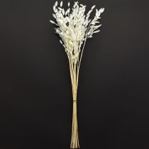 Artículo Canastilla de hoja ancha Hierba seca Chasmantium Blanco 70cm 10uds