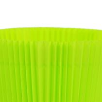 Artículo Puños plisados verde claro 10,5cm 100 piezas