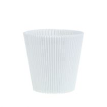 Artículo Puños plisados blanco 10,5cm 100 piezas
