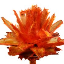 Plumoso 1 Naranja 25uds