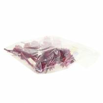 Artículo Plumosum 1 Erika 25uds