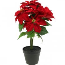 Estrella navideña artificial Roja Flores artificiales en maceta Al. 53 cm