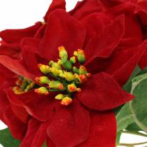 Ramo de flor de pascua terciopelo rojo 35cm