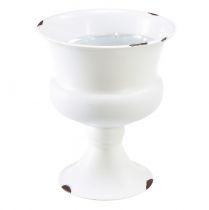 Jarrón taza taza decorativa óxido blanco Ø13,5cm H15cm Shabby Chic