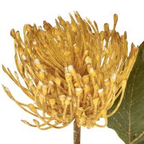 Artículo Alfiletero artificial de Protea Leucospermum amarillo 30cm 6 uds