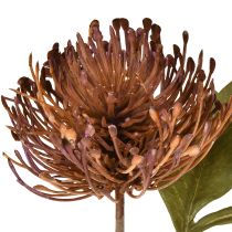 Artículo Alfiletero artificial Protea Leucospermum morado 30cm 6 uds