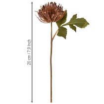 Artículo Alfiletero artificial Protea Leucospermum morado 30cm 6 uds