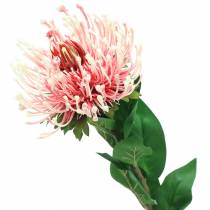 Artículo Protea Rosa Artificial 73cm