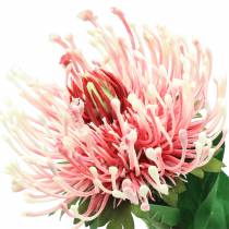 Artículo Protea Artificial Rosa 73cm