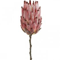 Artificial Protea Red Flor artificial exótica H55cm