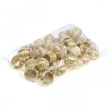 Artículo Calabaza Decoración Campana Copa Calabaza Copa blanqueada 50 piezas