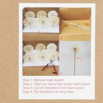 Artículo Diente de león decorativo en blanco: delicadas flores secas para arreglos elegantes Ø11cm 6 piezas