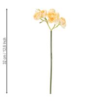 Artículo Rama de flor de ranúnculo para arreglos decorativos en jarrones, 32 cm, 5 piezas