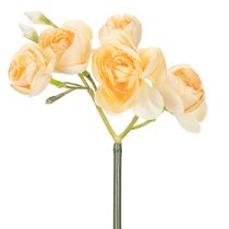 Artículo Rama de flor de ranúnculo para arreglos decorativos en jarrones, 32 cm, 5 piezas