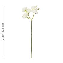 Artículo Ramo de ranúnculos artificiales, decoración floral de larga duración para primavera, 32 cm, 5 piezas