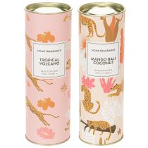Artículo Difusor de fragancias para el hogar con exótico aroma a coco y mango para una frescura duradera, 19 cm, 2 unidades.
