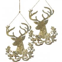 Artículo Reno para colgar, decoración navideña, cabeza de ciervo, colgante de metal dorado aspecto antiguo H23cm 2pcs