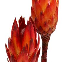 Repens rojo bicolor 25uds
