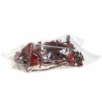 Artículo Repens Roseta Roja 8cm - 9cm 25uds