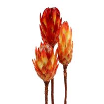 Artículo Repens Rojo 25uds