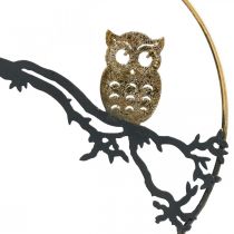 Artículo Decoración ventana búho en rama otoño, anillo decorativo metal 22cm