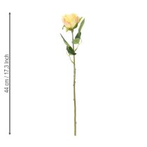 Artículo Arreglo floral de ramo de rosas para una elegante decoración en el salón 44cm 6 piezas