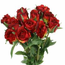Rosa roja 42cm 12pcs
