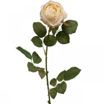 Rosa color crema, flor de seda, rosa artificial L74cm Ø7cm