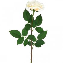 Artículo Rosa de albaricoque blanco cremoso, flor de seda, rosas artificiales L72cm Ø12cm