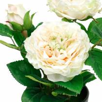 Peonía en maceta, rosa decorativa romántica, flor de seda blanco crema