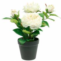 Peonía en maceta, rosa decorativa romántica, flor de seda blanco crema