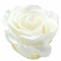 Rosas infinitas grandes Ø5.5-6cm blanco 6pcs