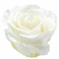 Artículo Rosas infinitas grandes Ø5.5-6cm blanco 6pcs