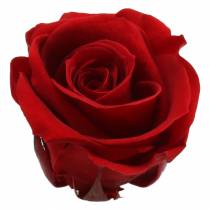 Artículo Rosas preservadas medianas Ø4-4,5cm rojas 8 piezas