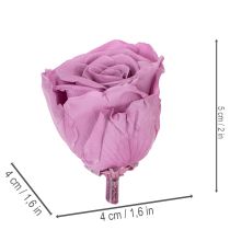 Artículo Cabezas de rosas preservadas, regalo romántico, rosas duraderas para ocasiones especiales, 5cm, 6 piezas