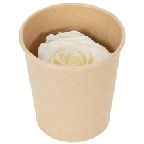 Artículo Rosas preservadas, decoración de mesa duradera para un ambiente romántico, decoración de boda, 5 cm, 6 piezas