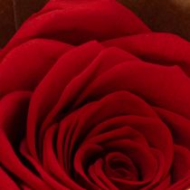 Artículo Rosas preservadas decorativas románticas para acentuar espacios de estar o bodas 5 cm 6 piezas
