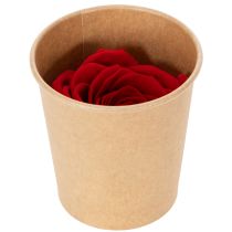 Artículo Rosas preservadas decorativas románticas para acentuar espacios de estar o bodas 5 cm 6 piezas