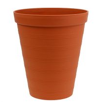 Artículo Macetero para rosas plastico 19cm terracota 1ud