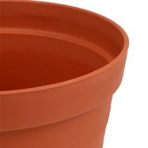 Artículo Maceta de rosas plastico 19cm terracota, 1ud