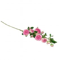 Artículo Rama de rosas rosas de seda ramas artificiales rosas crema rosa 79cm