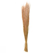 Artículo Hierba Doblada Roja Agrostis Hierba Seca Rojo Marrón 65cm 80g