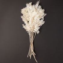 Artículo Ramas de ruscus, ramas decorativas, flores secas blanqueadas, 10 unidades