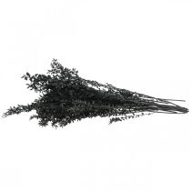 Artículo Ramas de rusco, ramas decorativas, flores secas, negras, 200 g