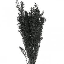 Artículo Ramas de Ruscus ramas decorativas flores secas negro 200g