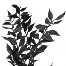 Ramas de Ruscus ramas decorativas flores secas negro 200g