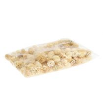 Artículo Conos de sabulosum blanqueados 500g