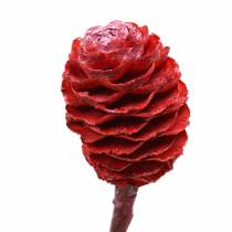 Artículo Ramas decorativas Sabulosum rojo esmerilado 4-6 25 piezas