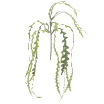 Artículo Cactus de hoja de sierra artificial Epiphyllum anguliger L68cm 3 piezas