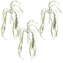 Artículo Cactus de hoja de sierra artificial Epiphyllum anguliger L68cm 3 piezas